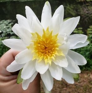 Meet your Posher, Jane